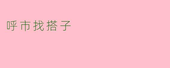 呼市找搭子
