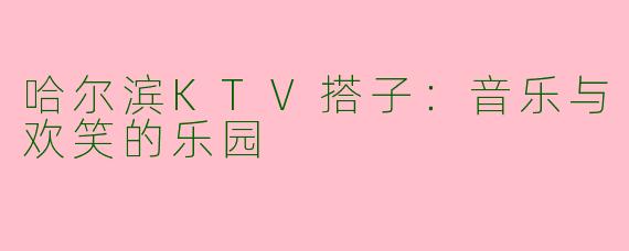哈尔滨KTV搭子：音乐与欢笑的乐园