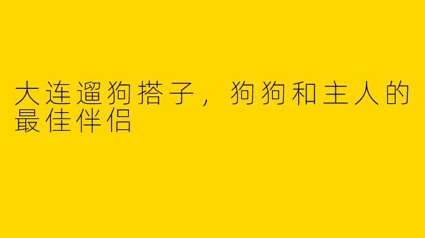 大连遛狗搭子，狗狗和主人的最佳伴侣