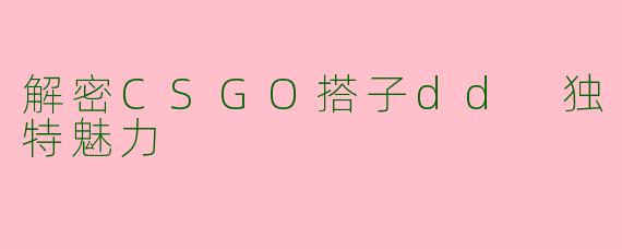 解密CSGO搭子dd 独特魅力