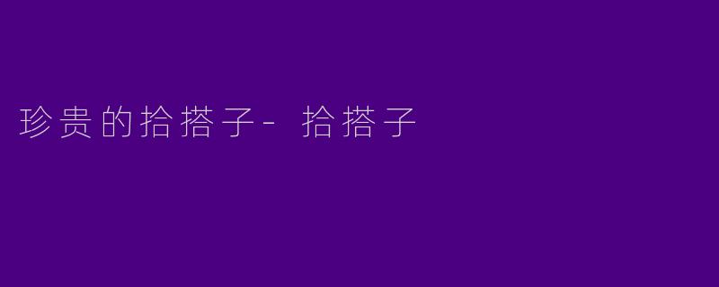 珍贵的拾搭子-拾搭子