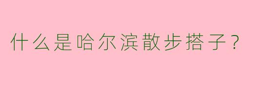 什么是哈尔滨散步搭子？