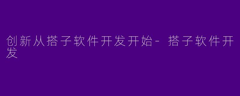 创新从搭子软件开发开始-搭子软件开发