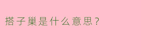 搭子巢是什么意思?