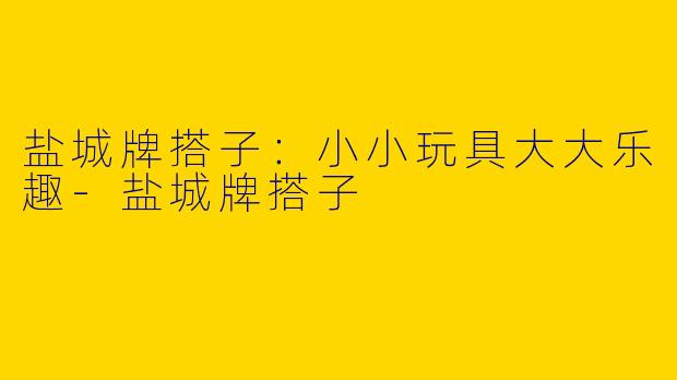 盐城牌搭子：小小玩具大大乐趣-盐城牌搭子