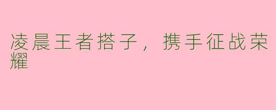 凌晨王者搭子，携手征战荣耀
