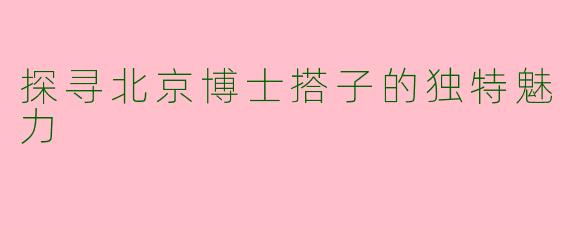 探寻北京博士搭子的独特魅力