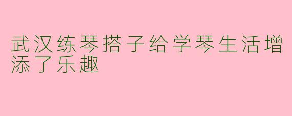 武汉练琴搭子给学琴生活增添了乐趣