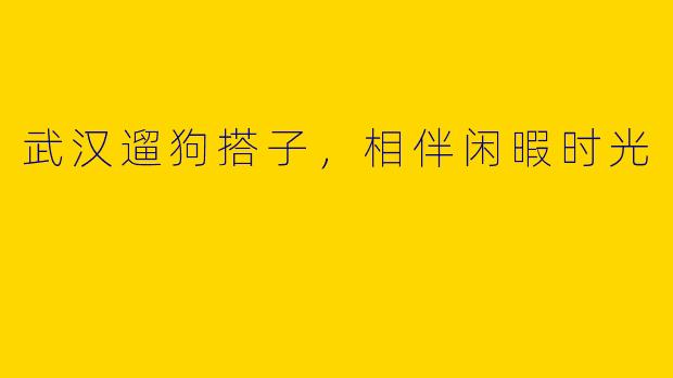 武汉遛狗搭子，相伴闲暇时光