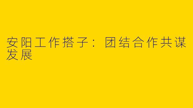 安阳工作搭子：团结合作共谋发展