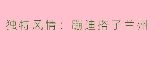 独特风情：蹦迪搭子兰州