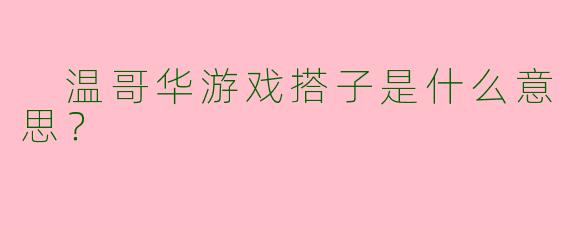  温哥华游戏搭子是什么意思？ 