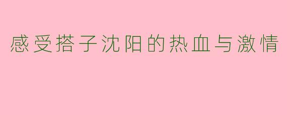 感受搭子沈阳的热血与激情