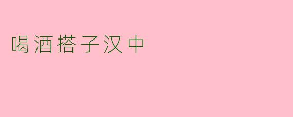 喝酒搭子汉中
