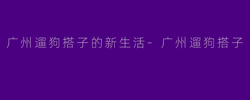 广州遛狗搭子的新生活-广州遛狗搭子