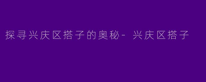 探寻兴庆区搭子的奥秘