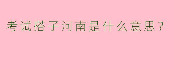 考试搭子河南是什么意思？