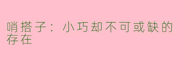 哨搭子：小巧却不可或缺的存在