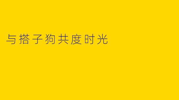 与搭子狗共度时光