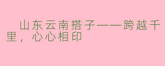  山东云南搭子——跨越千里，心心相印