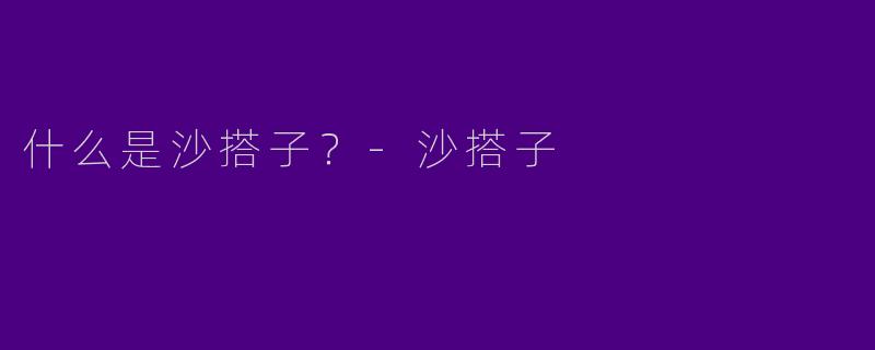 什么是沙搭子？