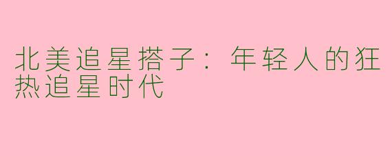 北美追星搭子：年轻人的狂热追星时代