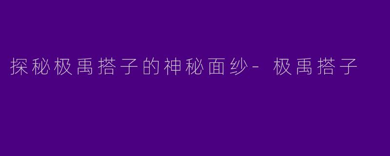 探秘极禹搭子的神秘面纱-极禹搭子