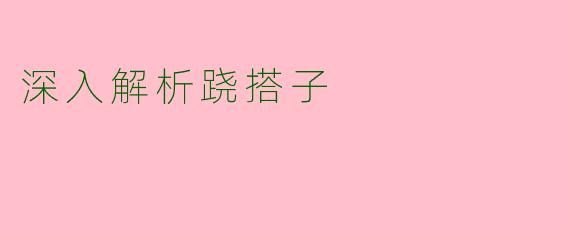 深入解析跷搭子