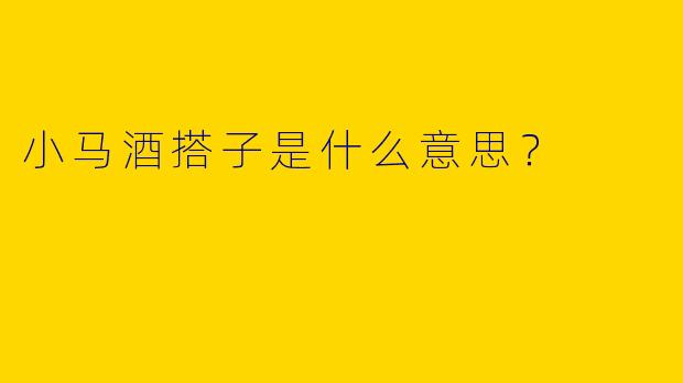 小马酒搭子是什么意思?