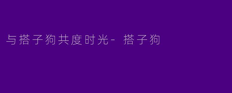 与搭子狗共度时光-搭子狗