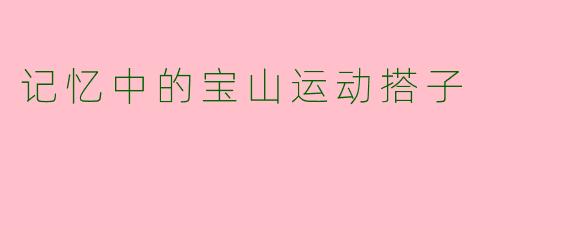 记忆中的宝山运动搭子
