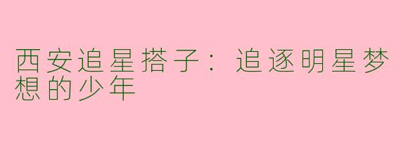 西安追星搭子：追逐明星梦想的少年