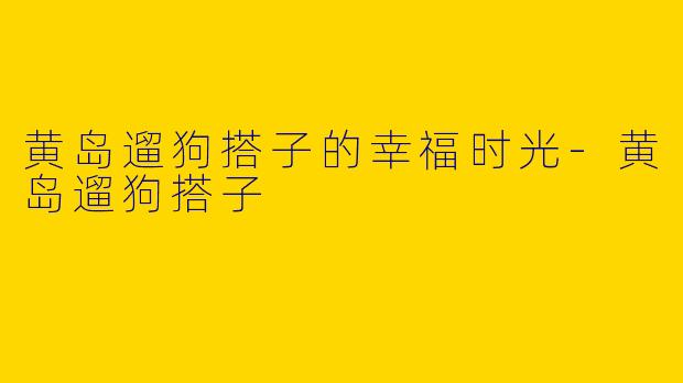 黄岛遛狗搭子的幸福时光