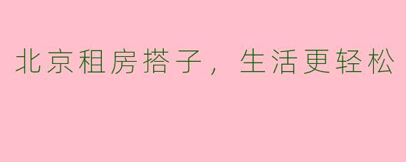 北京租房搭子，生活更轻松