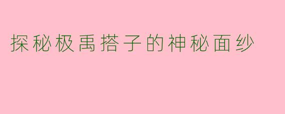 探秘极禹搭子的神秘面纱
