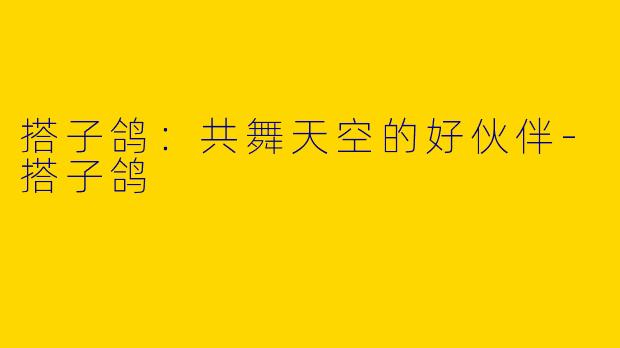 搭子鸽：共舞天空的好伙伴-搭子鸽