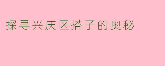 探寻兴庆区搭子的奥秘