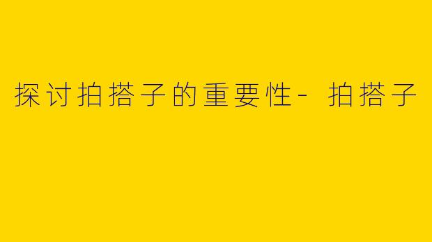 探讨拍搭子的重要性-拍搭子