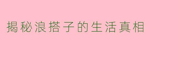 揭秘浪搭子的生活真相