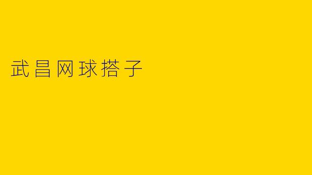 武昌网球搭子