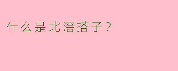 什么是北滘搭子?