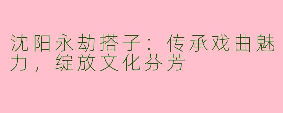 沈阳永劫搭子：传承戏曲魅力，绽放文化芬芳