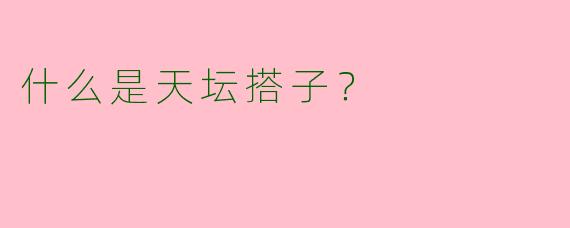 什么是天坛搭子？
