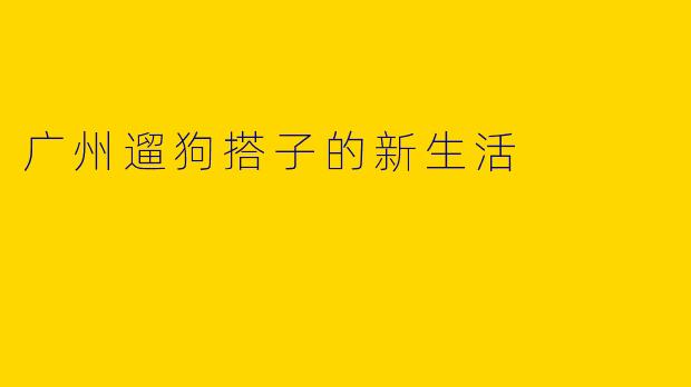 广州遛狗搭子的新生活