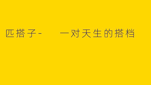 匹搭子- 一对天生的搭档