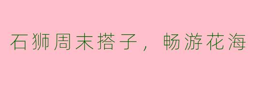 石狮周末搭子，畅游花海
