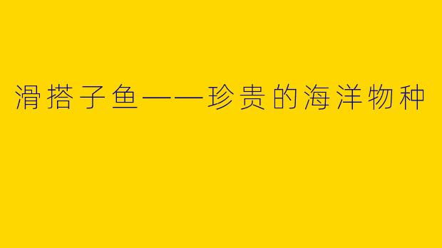 滑搭子鱼——珍贵的海洋物种