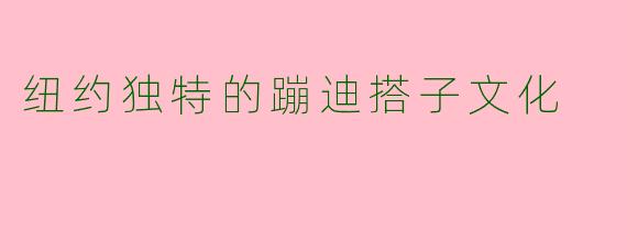 纽约独特的蹦迪搭子文化