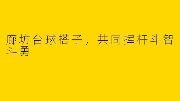 廊坊台球搭子,共同挥杆斗智斗勇
