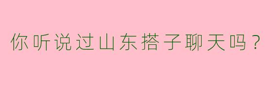 你听说过山东搭子聊天吗？